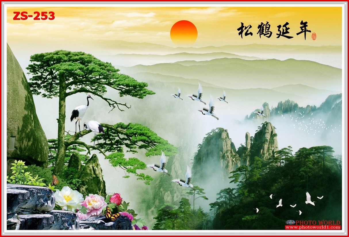 วอลเปเปอร์รูปภาพติดผนังสั่งทำ มีภาพให้เลือกกว่า 50,000 ภาพ ออกแบบกราฟฟิค หรือ รูปภาพตามที่ท่านกำหนด ในสไตล์ท่านเอง "custom made"