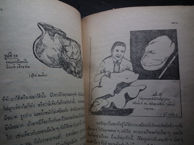 หินมีค่า รัตนชาติ เเละหินสี โดย กรมทรัพยากรธนณี หนา 168 หน้า ปี 2513