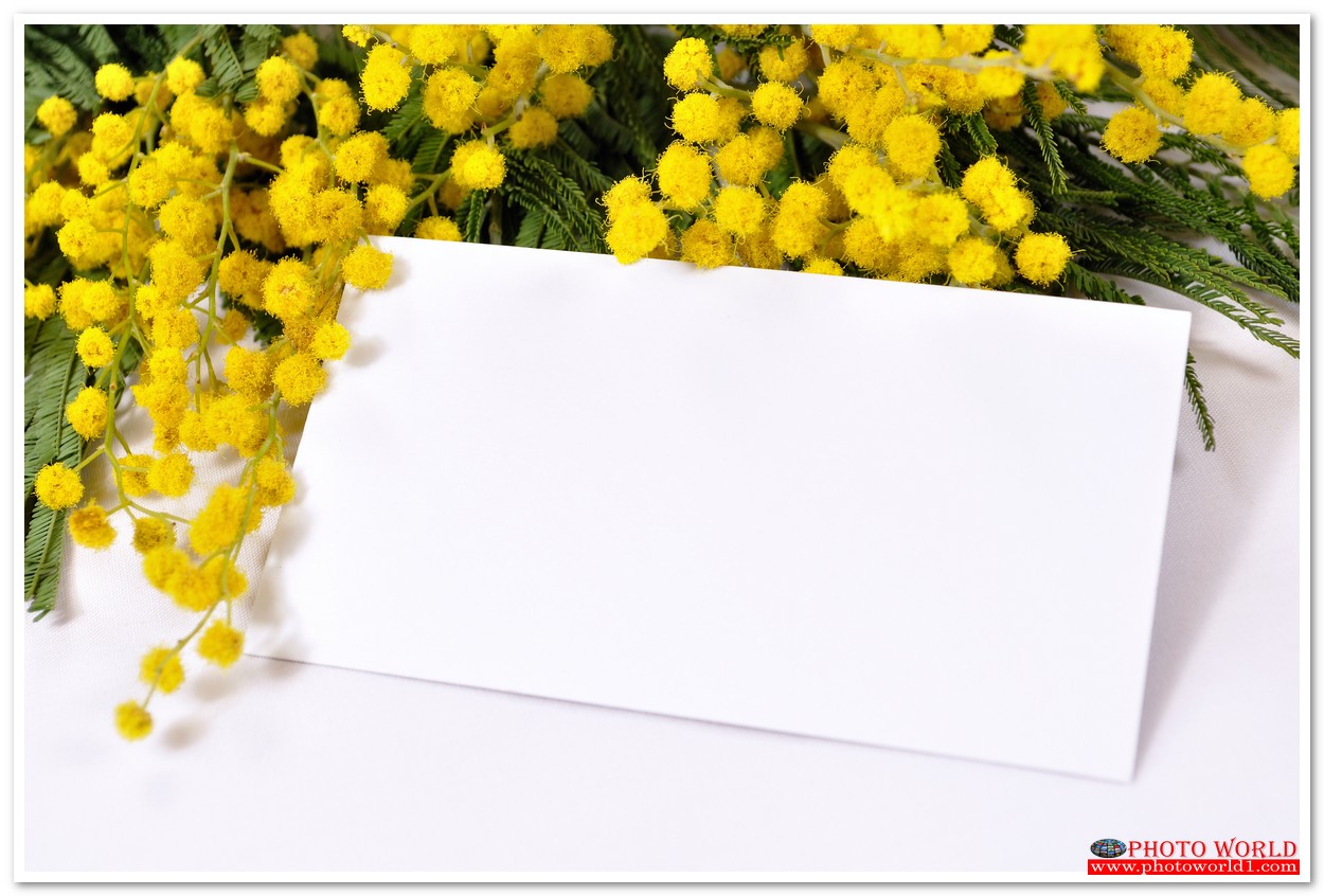 กรอบดอกไม้(FLOWER) สั่งทำวอลเปเปอร์ รูปภาพติดผนัง มีภาพให้เลือกกว่า 50,000 ภาพ ออกแบบกราฟฟิค หรือ รูปภาพตามที่ท่านกำหนด ในสไตล์ท่านเอง "custom made"