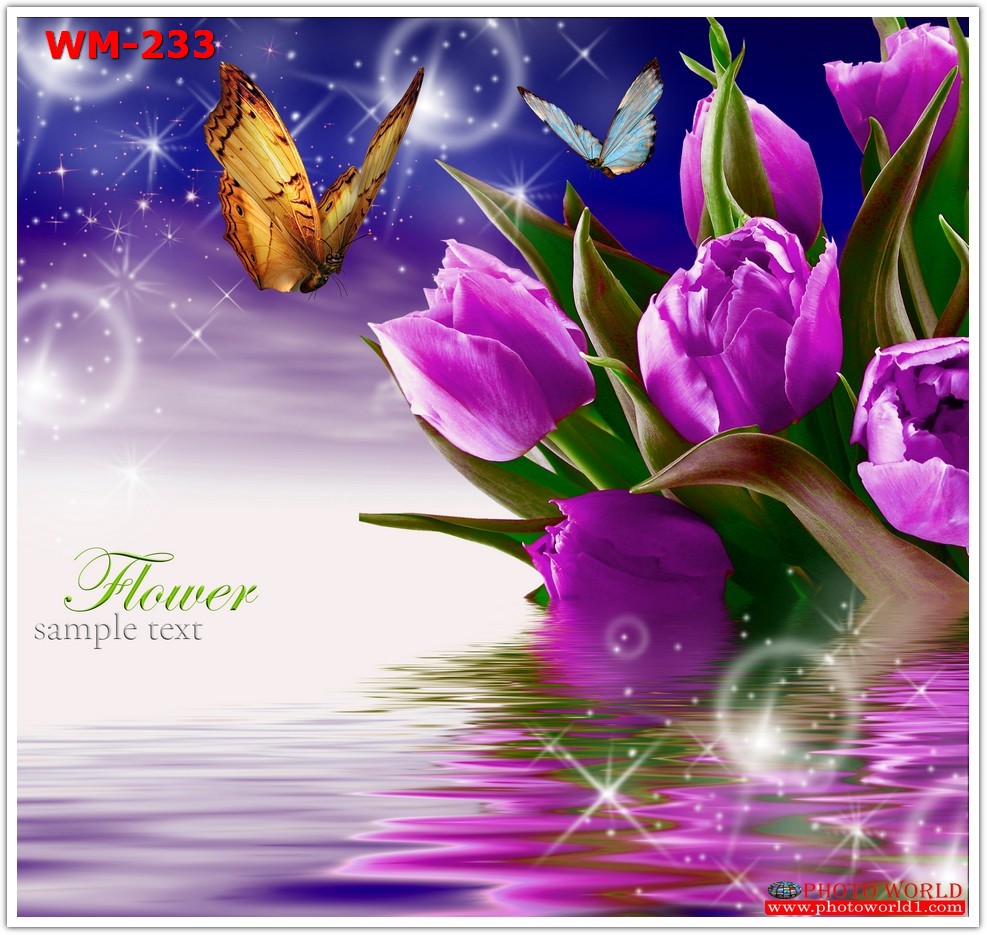 วอลเปเปอร์รูปภาพติดผนังสั่งทำ มีภาพให้เลือกกว่า 50,000 ภาพ ออกแบบกราฟฟิค หรือ รูปภาพตามที่ท่านกำหนด ในสไตล์ท่านเอง "custom made"