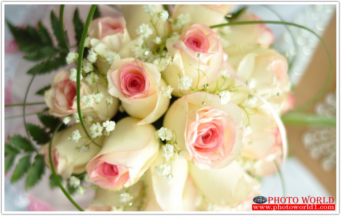 วอลเปเปอร์รูปภาพติดผนังสั่งทำ มีภาพให้เลือกกว่า 50,000 ภาพ ออกแบบกราฟฟิค หรือ รูปภาพตามที่ท่านกำหนด ในสไตล์ท่านเอง "custom made"