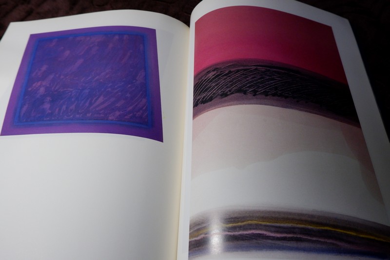 การเดินทางของสีสรรค์ ปรีชา อรชุนกะ ปี 2539