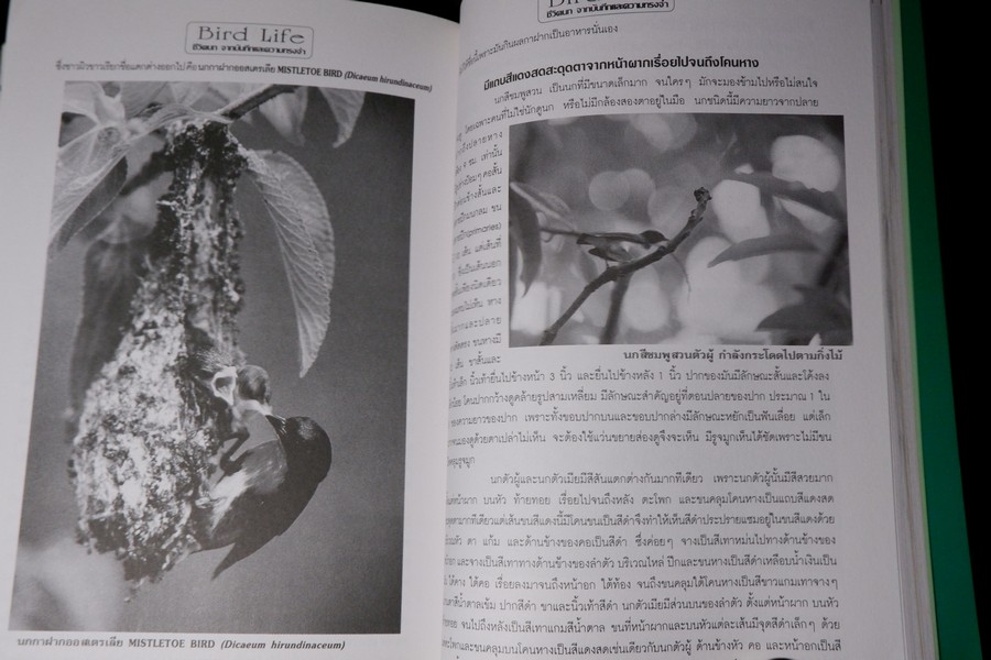 ชีวิตนก จากบันทึก เเละความทรงจำ เล่ม 1 โดย สุธี ศุภรัฐวิกร