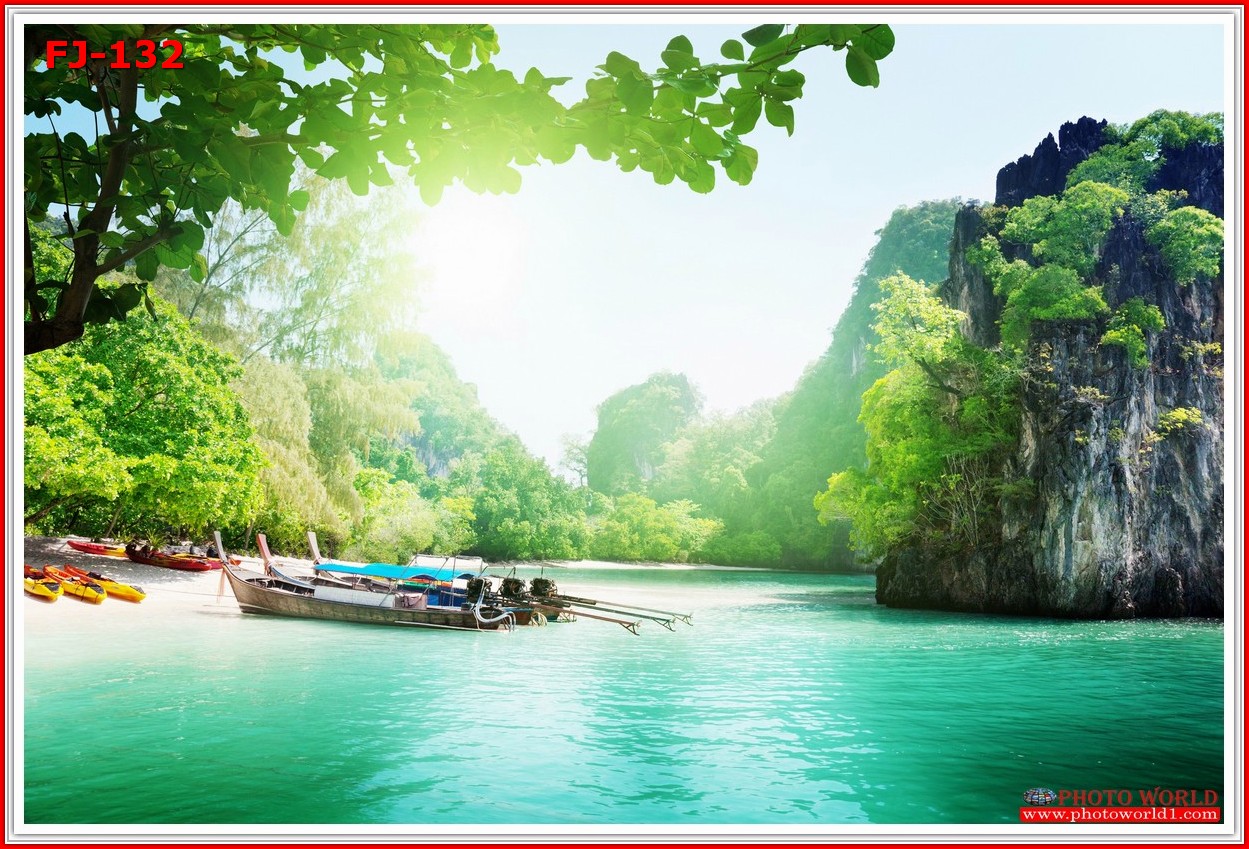 วอลเปเปอร์รูปภาพติดผนังสั่งทำ มีภาพให้เลือกกว่า 50,000 ภาพ ออกแบบกราฟฟิค หรือ รูปภาพตามที่ท่านกำหนด ในสไตล์ท่านเอง "custom made"