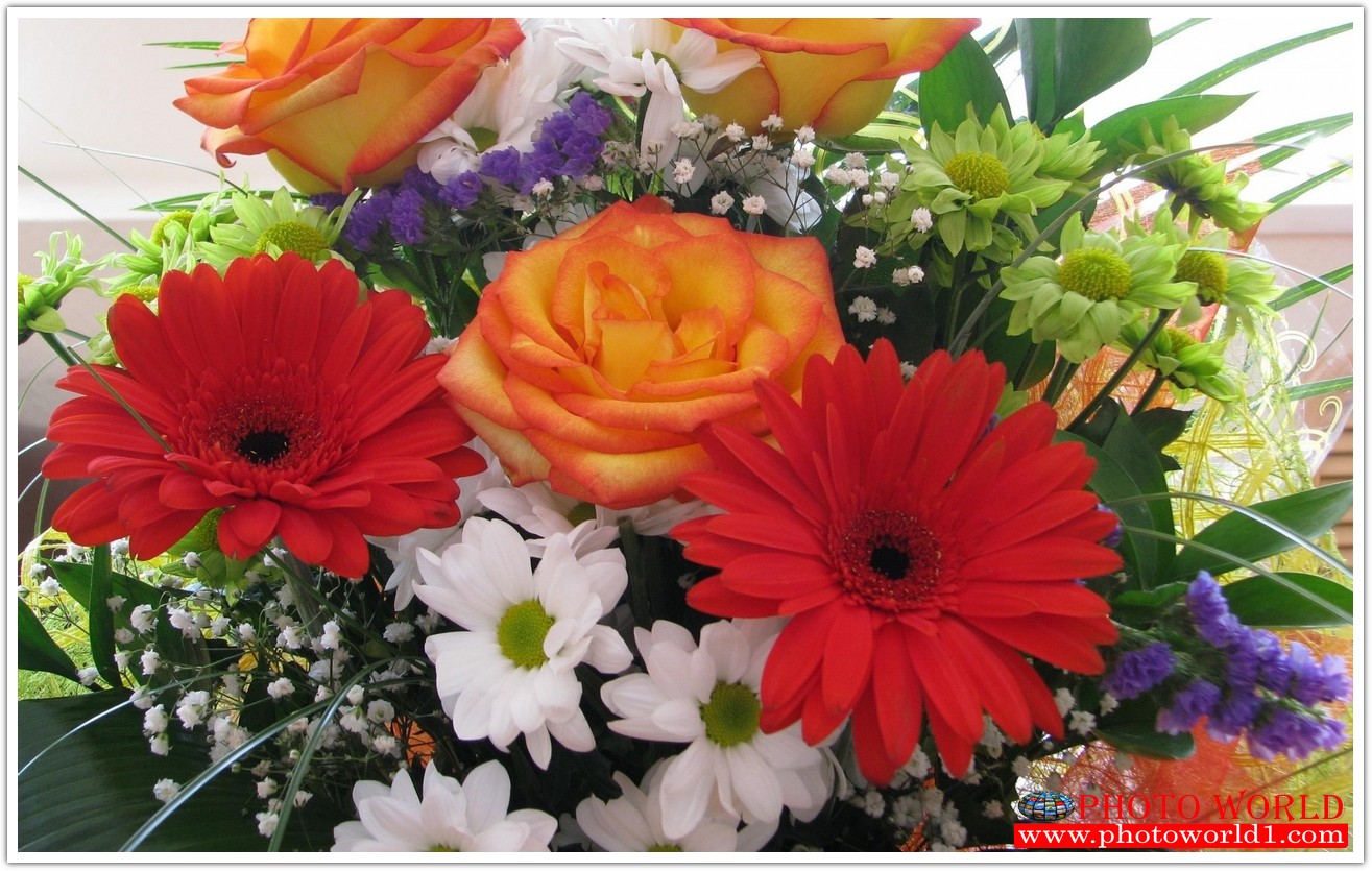 วอลเปเปอร์รูปภาพติดผนังสั่งทำ มีภาพให้เลือกกว่า 50,000 ภาพ ออกแบบกราฟฟิค หรือ รูปภาพตามที่ท่านกำหนด ในสไตล์ท่านเอง "custom made"