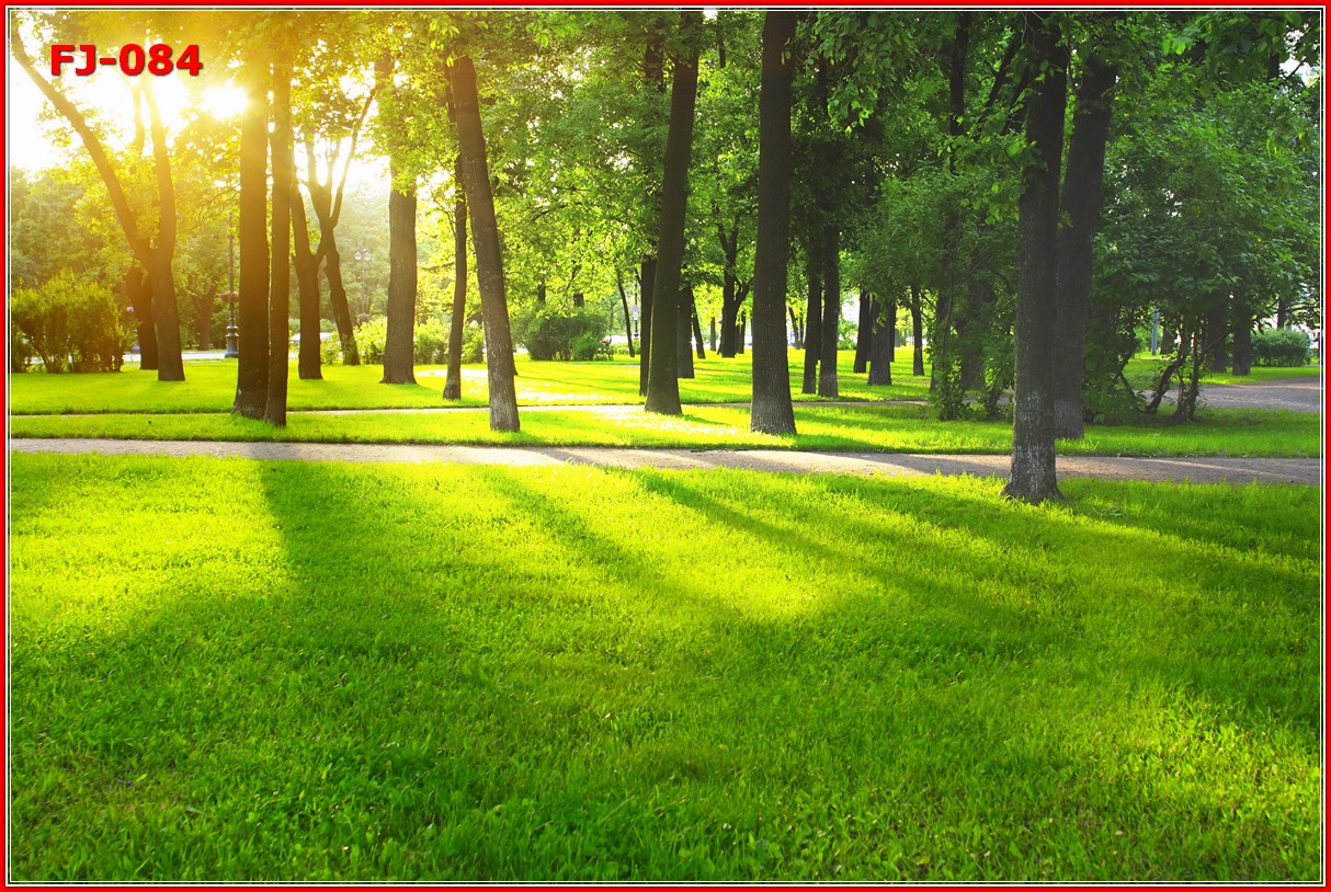 วอลเปเปอร์รูปภาพติดผนังสั่งทำ มีภาพให้เลือกกว่า 50,000 ภาพ ออกแบบกราฟฟิค หรือ รูปภาพตามที่ท่านกำหนด ในสไตล์ท่านเอง "custom made"