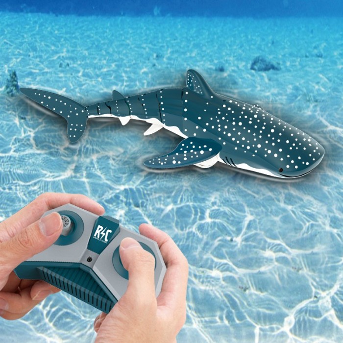 Whale Shark