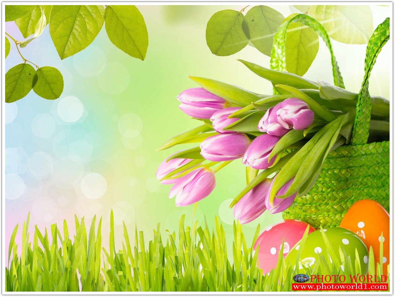 วอลเปเปอร์รูปภาพติดผนังสั่งทำ มีภาพให้เลือกกว่า 50,000 ภาพ ออกแบบกราฟฟิค หรือ รูปภาพตามที่ท่านกำหนด ในสไตล์ท่านเอง "custom made"