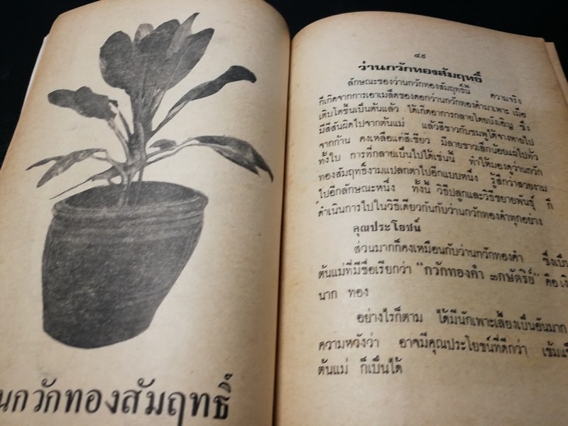ตำรา ว่าน 108 พร้อมด้วยวิธีปลูก เเละขยายพันธ์ โดย พฤกษาพงษ์ หนา 175 หน้า