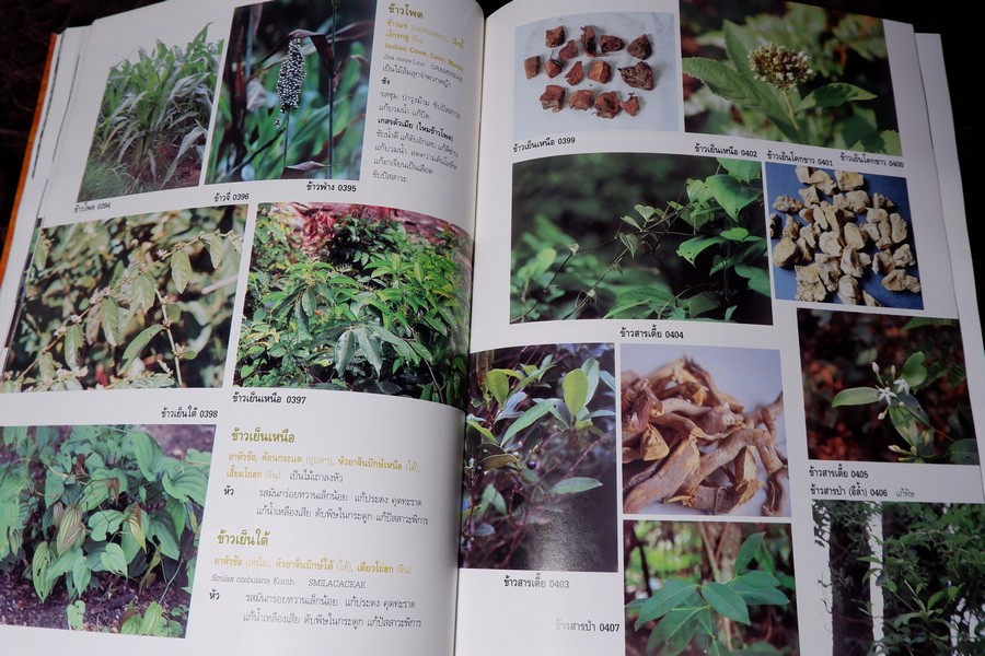 สารานุกรมเครื่องยาไทย 1 โดย วุฒิ วุฒิธรรมเวช ปกแข็ง ปี 2543
