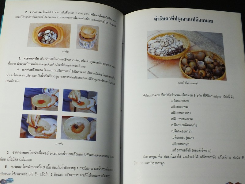 หอยเป็นยา ตามตำรับยาการเเพทย์เเผนไทย โดย เเพทย์หญิงเพ็ญนภา ทรัพย์เจริญ ปกแข็ง ปี 2545