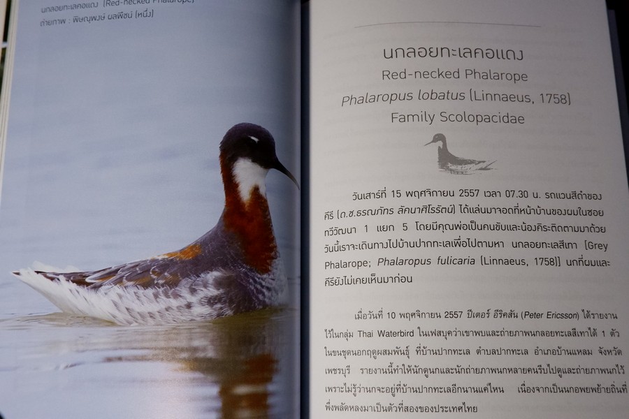 นกไทย ในบันทึกเเละความทรงจำ โดย สุธี ศุภรัฐวิกร พิมพ์ 1000 เล่ม ปี 2558 (มีตำหนิ)