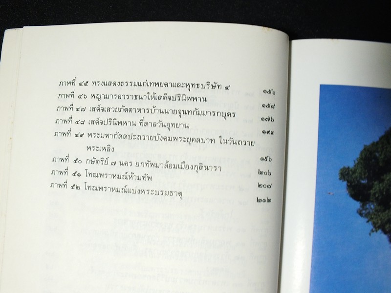 พุทธประวัติทัศนศึกษา นิพนธ์ของ พระธรรมโกศาจารย์ (ชอบ อนุจารี) หนา 250 หน้า ปี 2532