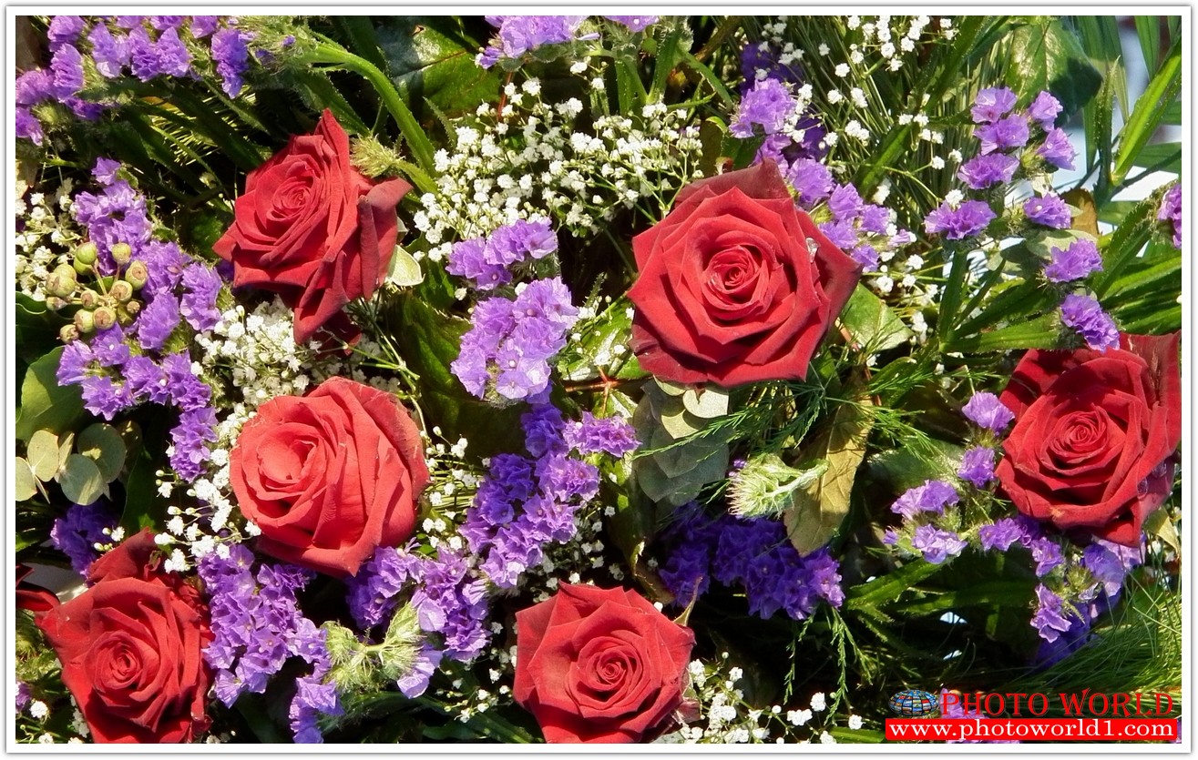 วอลเปเปอร์รูปภาพติดผนังสั่งทำ มีภาพให้เลือกกว่า 50,000 ภาพ ออกแบบกราฟฟิค หรือ รูปภาพตามที่ท่านกำหนด ในสไตล์ท่านเอง "custom made"