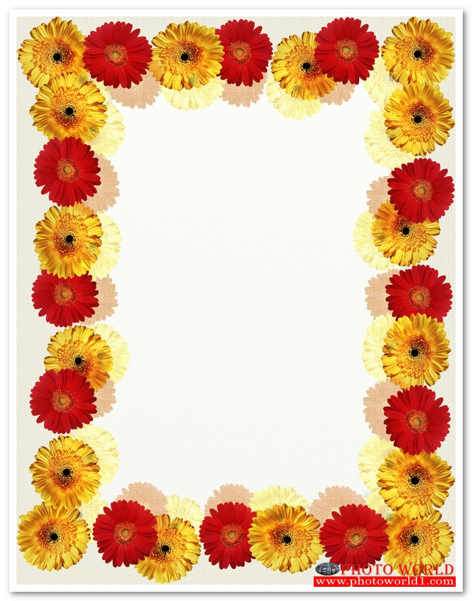 กรอบดอกไม้(FLOWER) สั่งทำวอลเปเปอร์ รูปภาพติดผนัง มีภาพให้เลือกกว่า 50,000 ภาพ ออกแบบกราฟฟิค หรือ รูปภาพตามที่ท่านกำหนด ในสไตล์ท่านเอง "custom made"