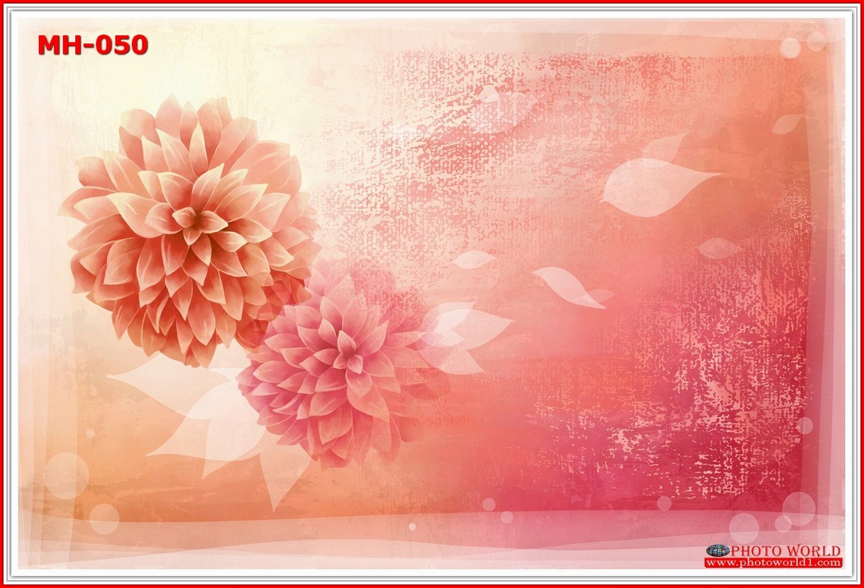 วอลเปเปอร์รูปภาพติดผนังสั่งทำ มีภาพให้เลือกกว่า 50,000 ภาพ ออกแบบกราฟฟิค หรือ รูปภาพตามที่ท่านกำหนด ในสไตล์ท่านเอง "custom made"