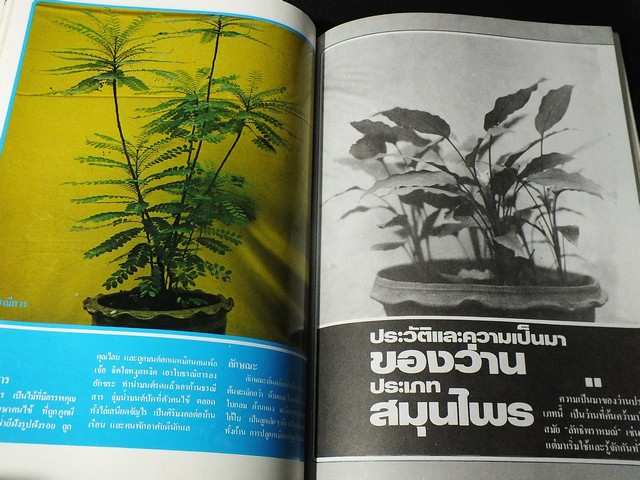 สารานุกรมว่านไทย ฉบับสมบูรณ์ โดย ทัศนา ทัศนมิตร-ดำรงศักดิ์ นาคนิยม (สอบถาม)