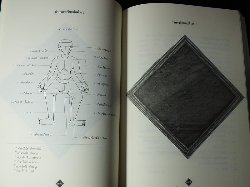 จารึกตำรายา วัดราชโอรสารามราชวรวิหาร โดย กรมศิลปากร ปี 2545 (Pre-Order สอบถาม)