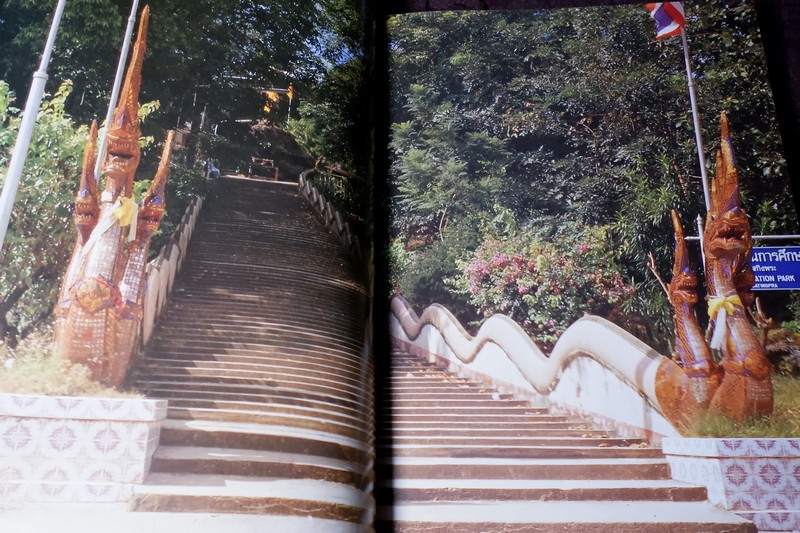 วัดพระโค๊ะ โดย อำเภอสทิงพระ เเละ สถาบันทักษิณคดีศึกษา ปกเเข็ง 228 หน้า ปี 2538