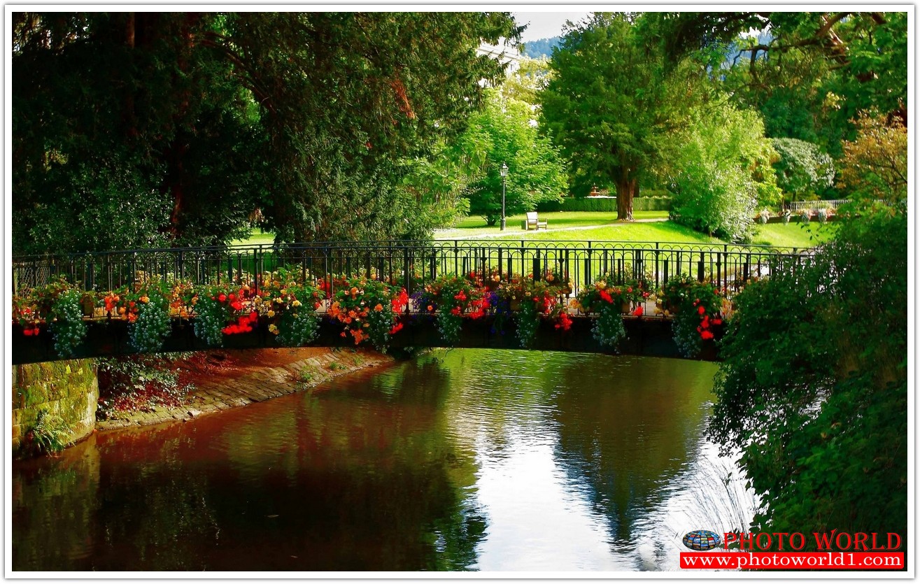 NATURAL วอลเปเปอร์รูปภาพติดผนังสั่งทำ มีภาพให้เลือกกว่า 50,000 ภาพ ออกแบบกราฟฟิค หรือ รูปภาพตามที่ท่านกำหนด ในสไตล์ท่านเอง "custom made"