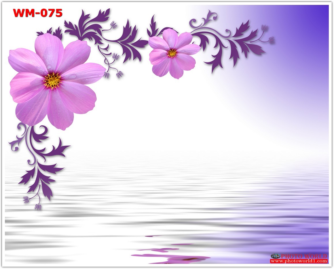 วอลเปเปอร์รูปภาพติดผนังสั่งทำ มีภาพให้เลือกกว่า 50,000 ภาพ ออกแบบกราฟฟิค หรือ รูปภาพตามที่ท่านกำหนด ในสไตล์ท่านเอง "custom made"