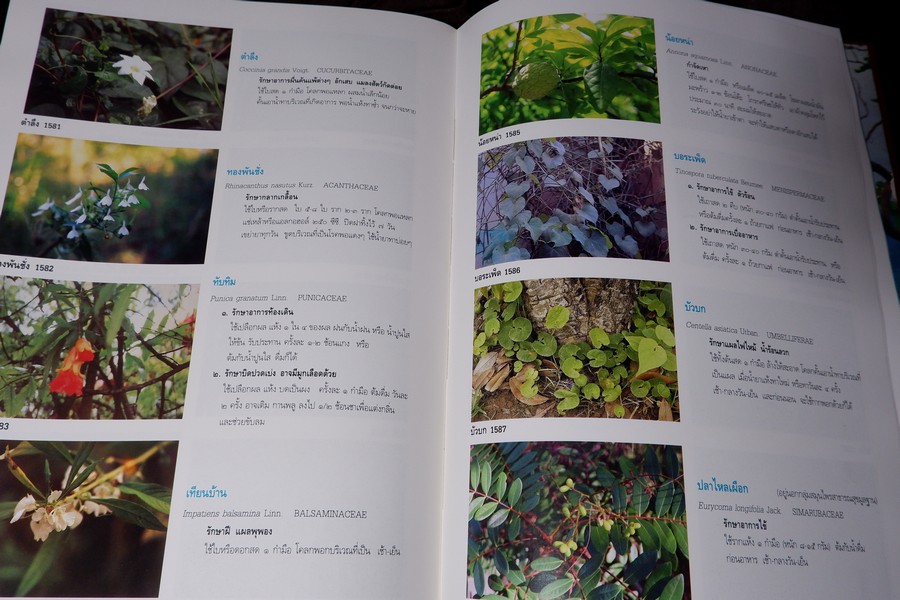 สารานุกรมเครื่องยาไทย 1 โดย วุฒิ วุฒิธรรมเวช ปกแข็ง ปี 2543