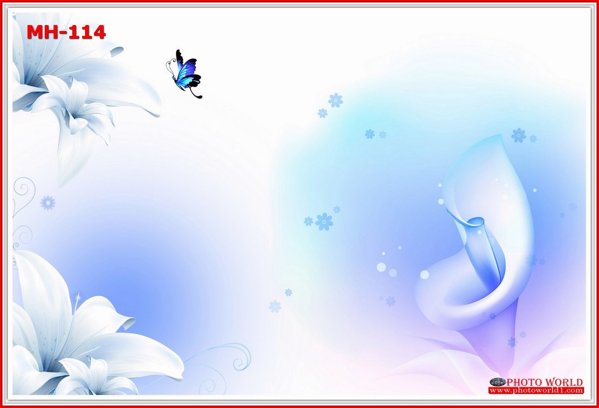 วอลเปเปอร์รูปภาพติดผนังสั่งทำ มีภาพให้เลือกกว่า 50,000 ภาพ ออกแบบกราฟฟิค หรือ รูปภาพตามที่ท่านกำหนด ในสไตล์ท่านเอง "custom made"