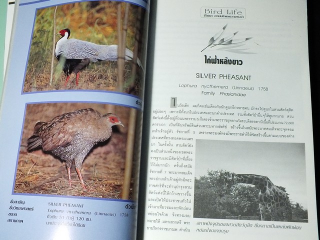 ชีวิตนก bird Life จากบันทึก เเละความทรงจำ โดย สุธี ศุภรัฐวิกร เล่ม 1,2,3 รวม 3 เล่ม ปี 2539-40