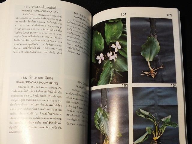 คู่มือดูว่าน ของ สมาคมว่านเเห่งประเทศไทย