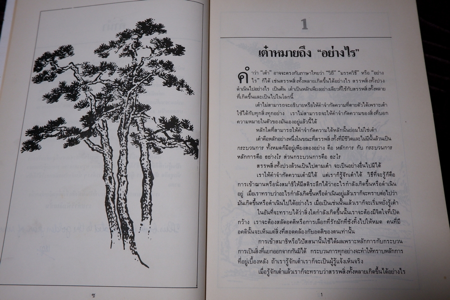 การบริหารงานเเบบเต๋า โดย บุญมาก พรหมพ้วย สมภพ โรจนพันธ์ ปี 2525 หนา 176 หน้า