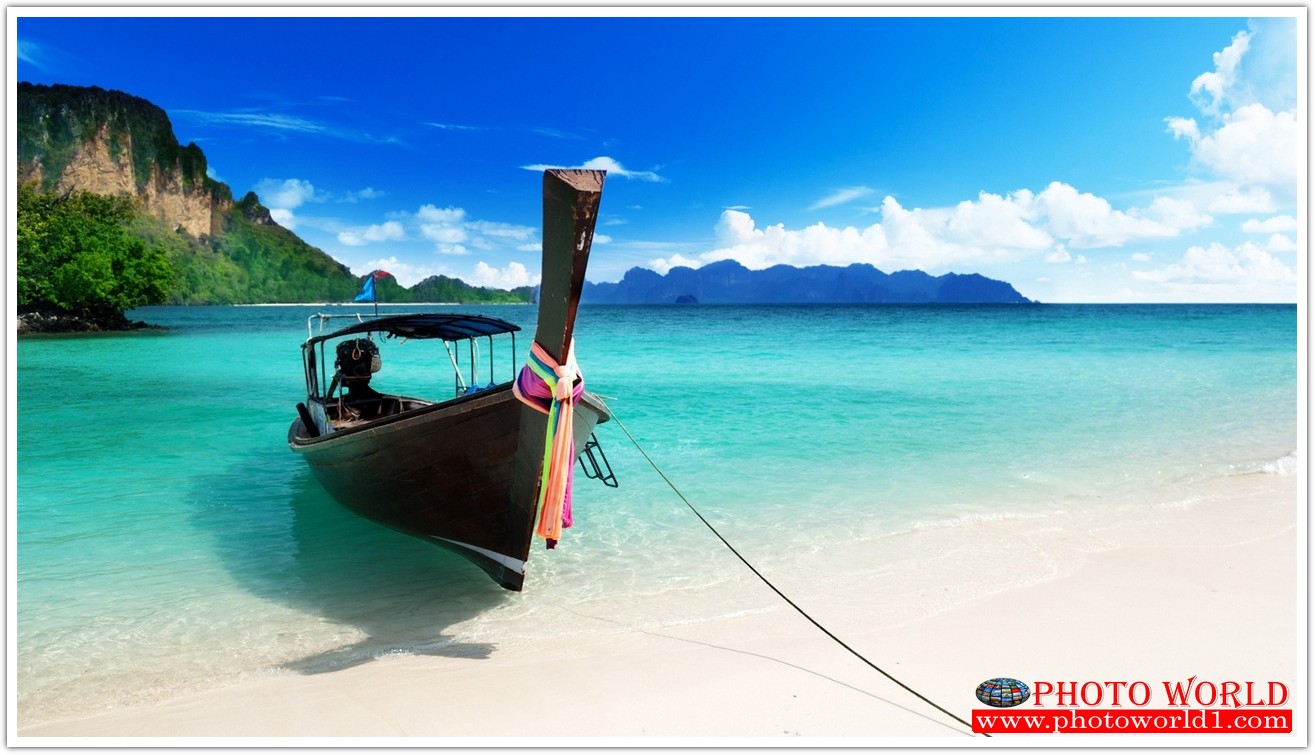 วอลเปเปอร์รูปภาพติดผนังสั่งทำ มีภาพให้เลือกกว่า 50,000 ภาพ ออกแบบกราฟฟิค หรือ รูปภาพตามที่ท่านกำหนด ในสไตล์ท่านเอง "custom made"