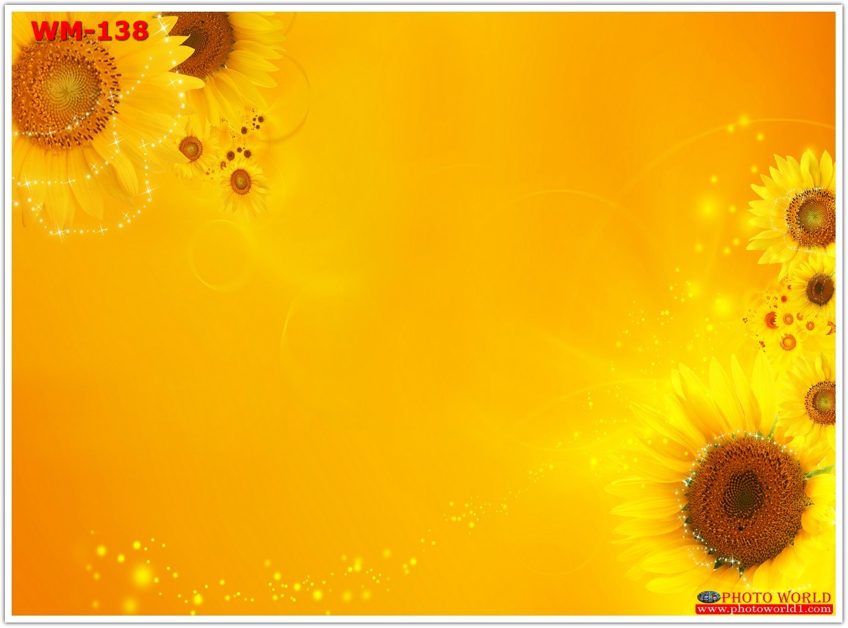 วอลเปเปอร์รูปภาพติดผนังสั่งทำ มีภาพให้เลือกกว่า 50,000 ภาพ ออกแบบกราฟฟิค หรือ รูปภาพตามที่ท่านกำหนด ในสไตล์ท่านเอง "custom made"