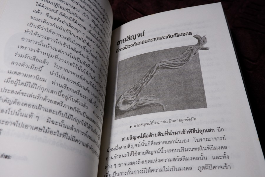 เปิดกรุวัตถุอาถรรณ์ โดย เสมา ท่าพระ หนา 253 หน้า