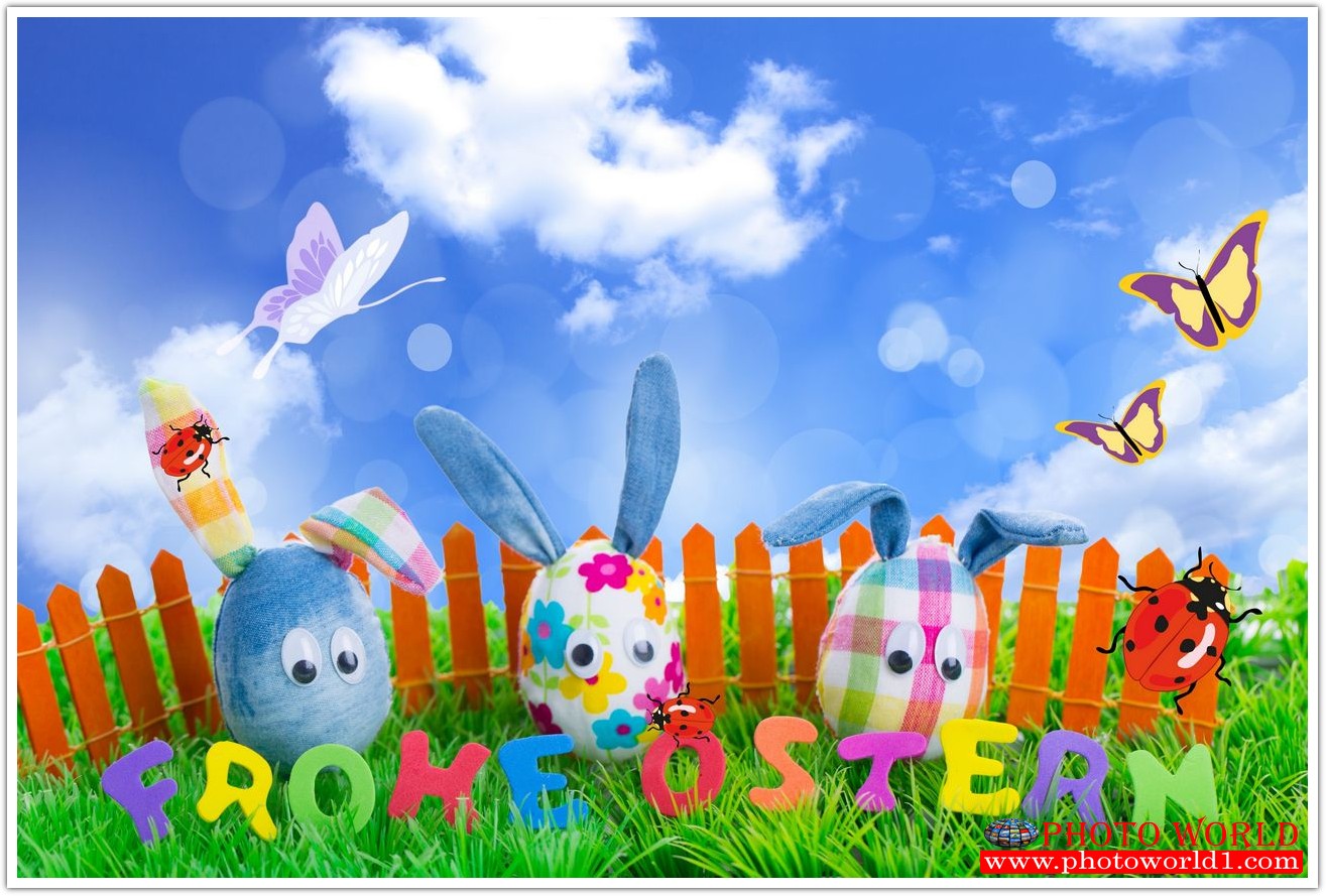 วอลเปเปอร์รูปภาพติดผนังสั่งทำ มีภาพให้เลือกกว่า 50,000 ภาพ ออกแบบกราฟฟิค หรือ รูปภาพตามที่ท่านกำหนด ในสไตล์ท่านเอง "custom made"