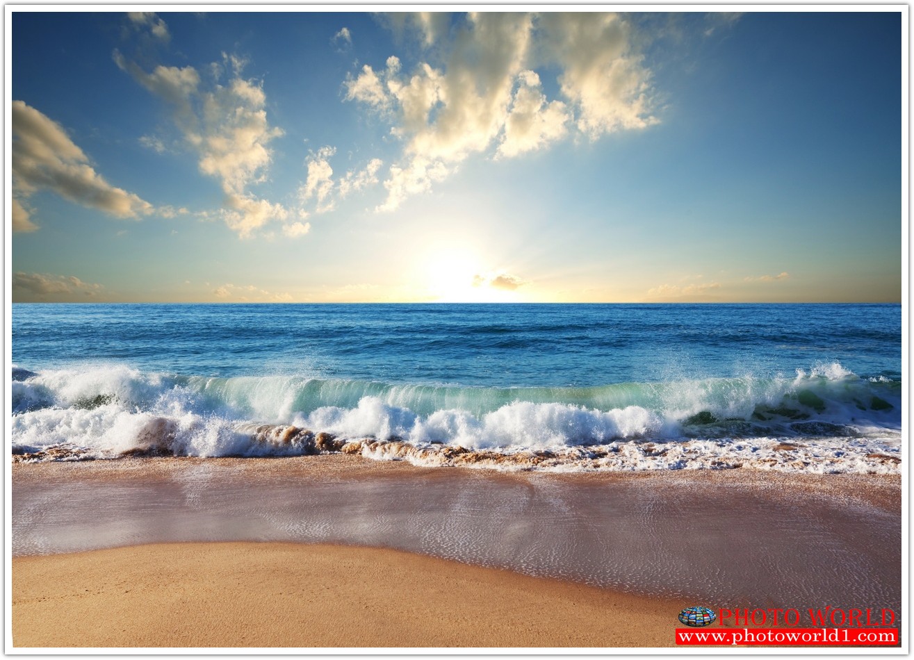 NATURAL วอลเปเปอร์รูปภาพติดผนังสั่งทำ มีภาพให้เลือกกว่า 50,000 ภาพ ออกแบบกราฟฟิค หรือ รูปภาพตามที่ท่านกำหนด ในสไตล์ท่านเอง "custom made"