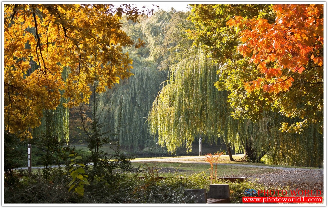 NATURAL วอลเปเปอร์รูปภาพติดผนังสั่งทำ มีภาพให้เลือกกว่า 50,000 ภาพ ออกแบบกราฟฟิค หรือ รูปภาพตามที่ท่านกำหนด ในสไตล์ท่านเอง "custom made"