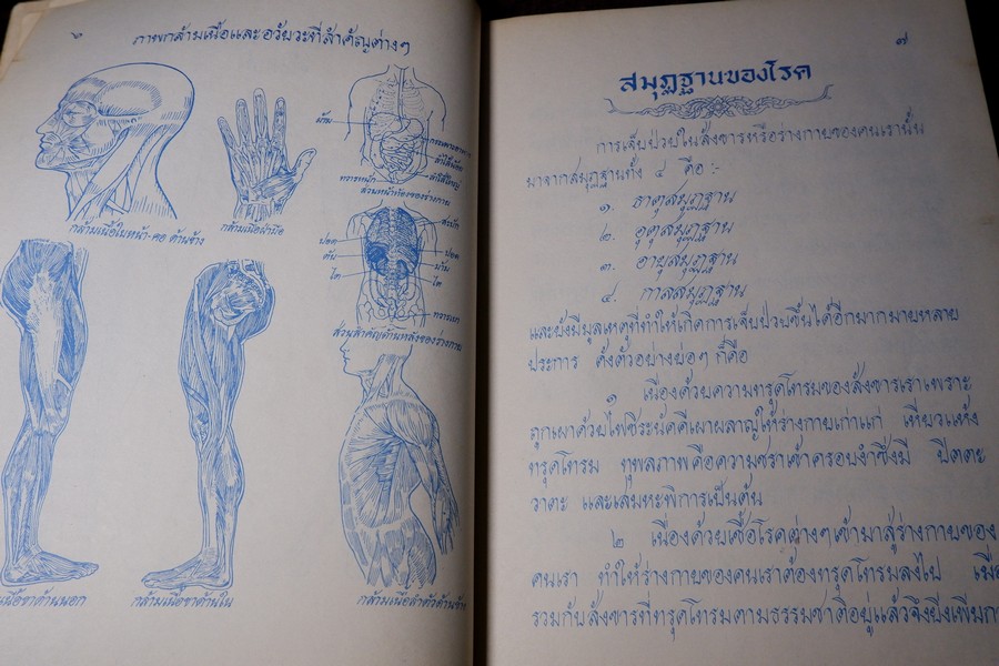ตำราหมอนวด พระบรมครูเเพทย์ ชีวกโกมารภัจจ์ ฉบับสมบูรณ์ โดย หมอนคร บางยี่ขัน -อ.เชาว์ กสิพันธุ์