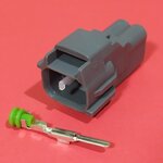 2 พิน เทา (ตัวผู้) #11255