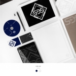 ออกแบบโลโก้ บริษัทSDS