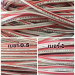 สายไฟ LED_5020