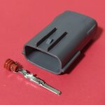 3 พิน เทา คอล์ย Nissan Honda (ตัวผู้) #0012