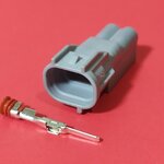 2 พิน เทา ตัวผู้ #0031