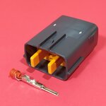 8 พิน เทา/ส้ม (ตัวผู้) #0054