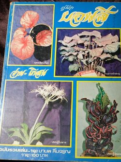 คู่มือบอนสี โดย มานพ ลิ้มจรูญ