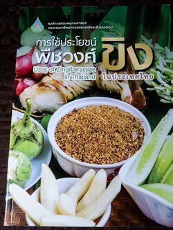 การใช้ประโยชน์ พืชวงศ์ขิง ในประเทศไทย ปี 2563