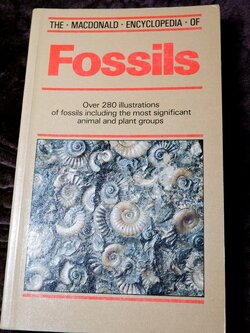 THE MACDONALD ENCYCLOPEDIA OF FOSSILS ปี 1986
