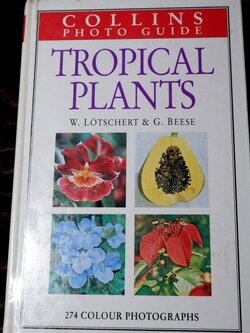 COLLIN PHOTO GUIDE TROPICAL PLANTS W.LOTSCHERT & G.BEESE ปกเเข็ง