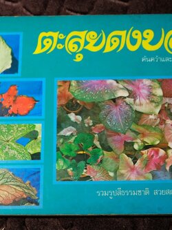 ตะลุยดงบอน โดย เชษฐา ปี 2524 (ราคารวมส่ง)