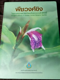 พืชวงศ์ขิง ในสวนพฤกษศาตร์สมเด็จพระนางเจ้าสิริกิติ์ ปกเเข็ง 436 หน้า