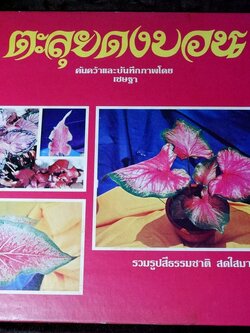 ตะลุยดงบอน โดย เชษฐา ปกเเข็ง 113 หน้า ปี 2524